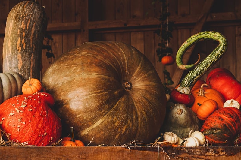 Autumn Harvest Wedding